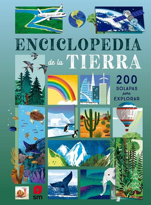 Enciclopedia de la Tierra | Martin, Ruth