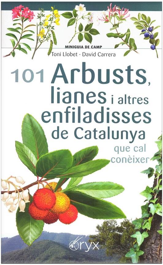 101 Arbusts, lianes i altres enfiladisses de Catalunya | Llobet François, Toni/Carrera Bonet, David