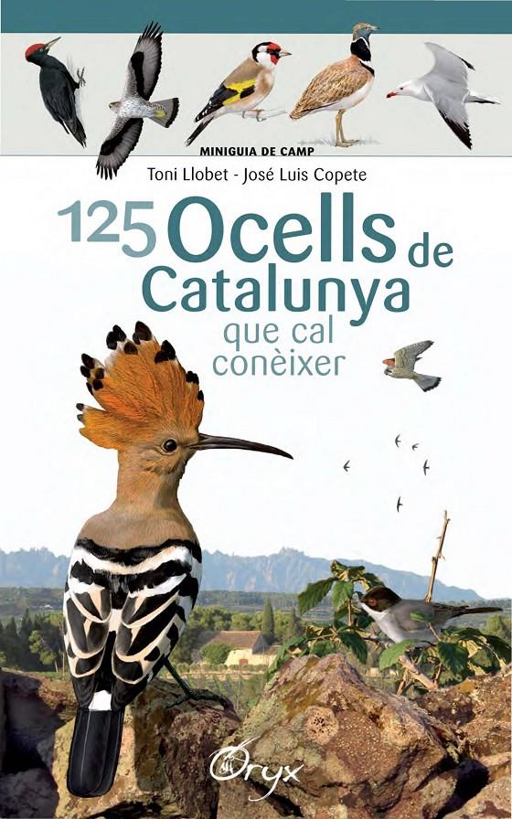 125 ocells de Catalunya | Llobet François, Toni/Copete, José Luis
