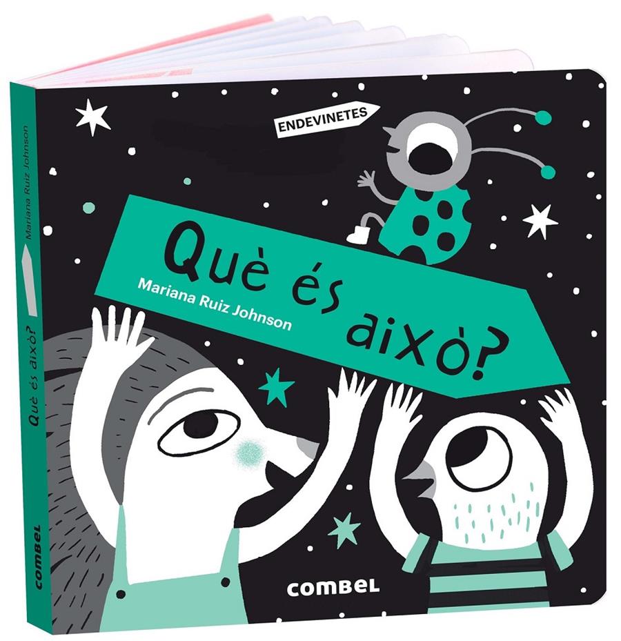 Què és això? | Ruiz Johnson, Mariana