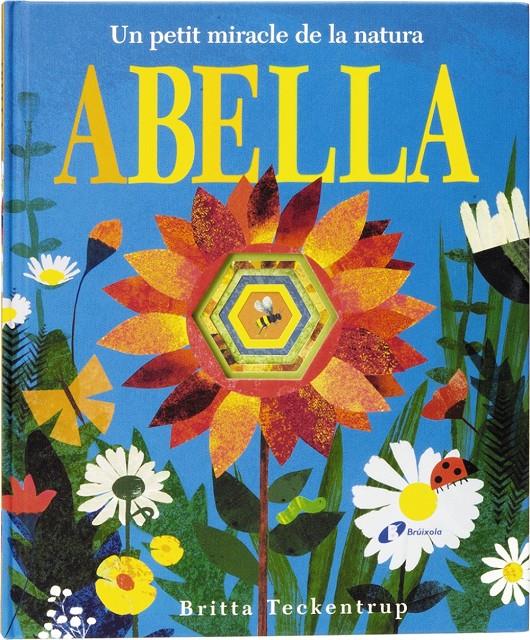 Abella | Hegarty, Patricia