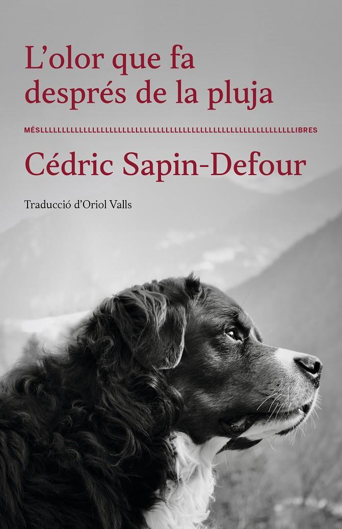 L'olor que fa després de la pluja | Cédric Sapin-Defour