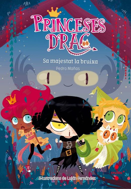 Princeses Drac 3 - Sa majestat la bruixa | Mañas, Pedro; Fernández, Luján