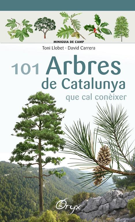 101 arbres de Catalunya que cal conèixer | Llobet François, Toni/Carrera Bonet, David