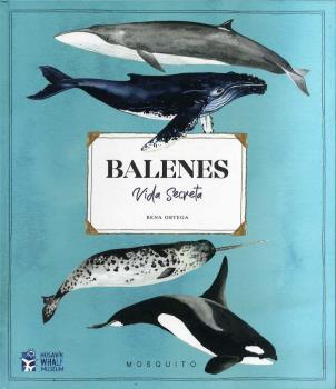 Balenes. Vida secreta | ORTEGA, RENA | Cooperativa autogestionària