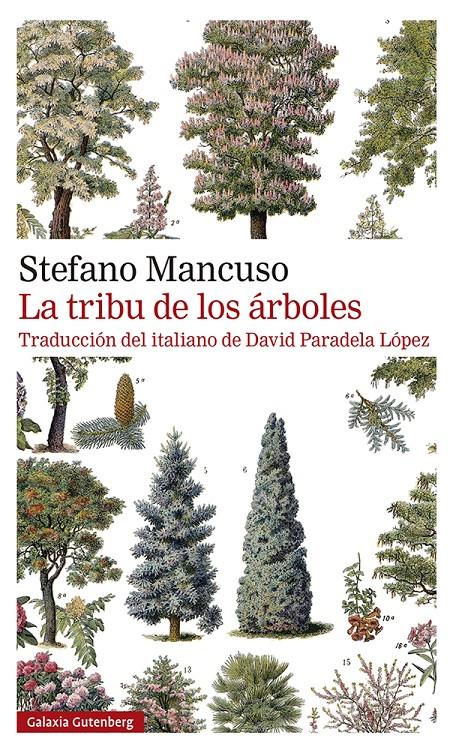 La tribu de los árboles | Mancuso, Stefano