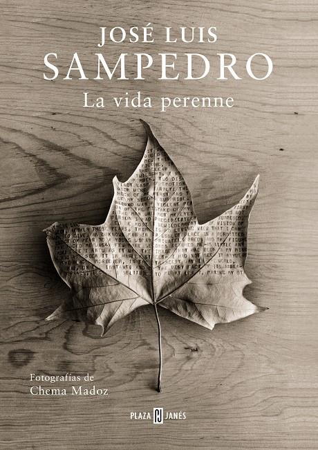 La vida perenne | SAMPEDRO,JOSE LUIS | Cooperativa autogestionària