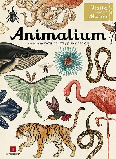 Animalium | Katie Scott / Jenny Broom | Cooperativa autogestionària