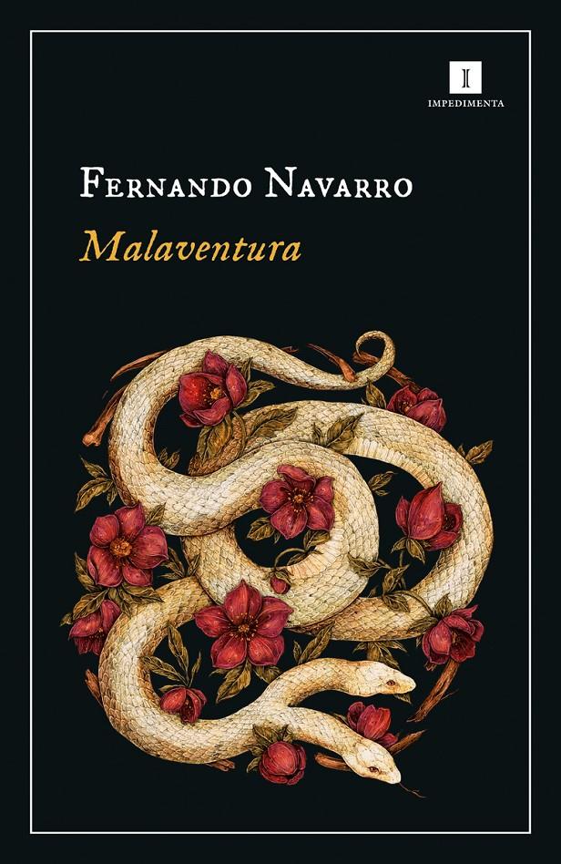 Malaventura | Navarro, Fernando