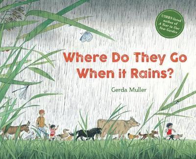 Where Do They Go When It Rains? | Gerda Muller