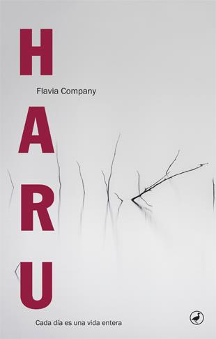 Haru | Company i Navau, Flavia