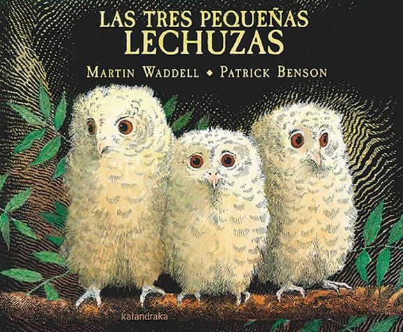 Las tres pequeñas lechuzas | Waddell, Martin