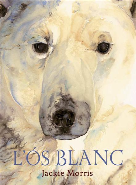L'Ós blanc | Morris, Jackie | Cooperativa autogestionària