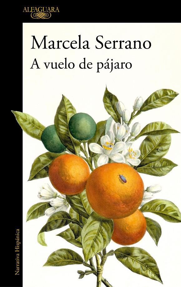A vuelo de pájaro | Serrano, Marcela | Cooperativa autogestionària