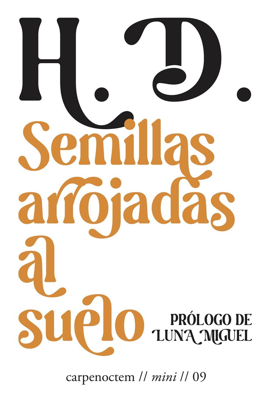 Semillas arrojadas al suelo | H.D.