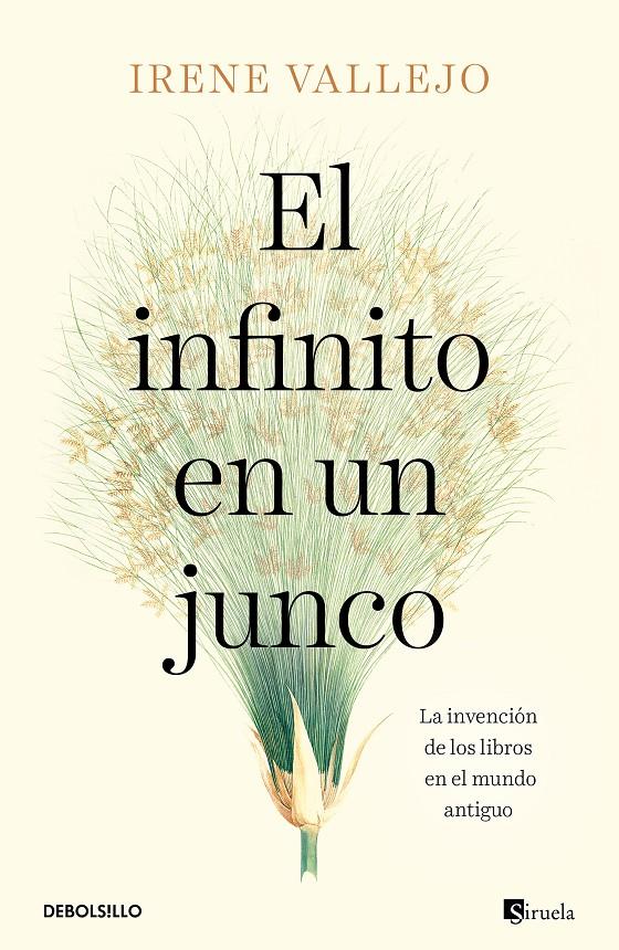 El infinito en un junco (bolsillo) | Vallejo, Irene