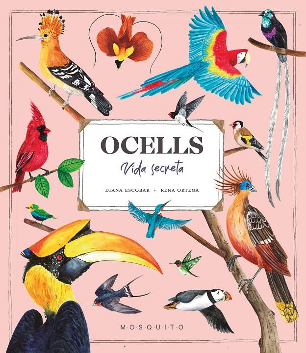 Ocells. Vida Secreta | Esteban, Diana | Cooperativa autogestionària