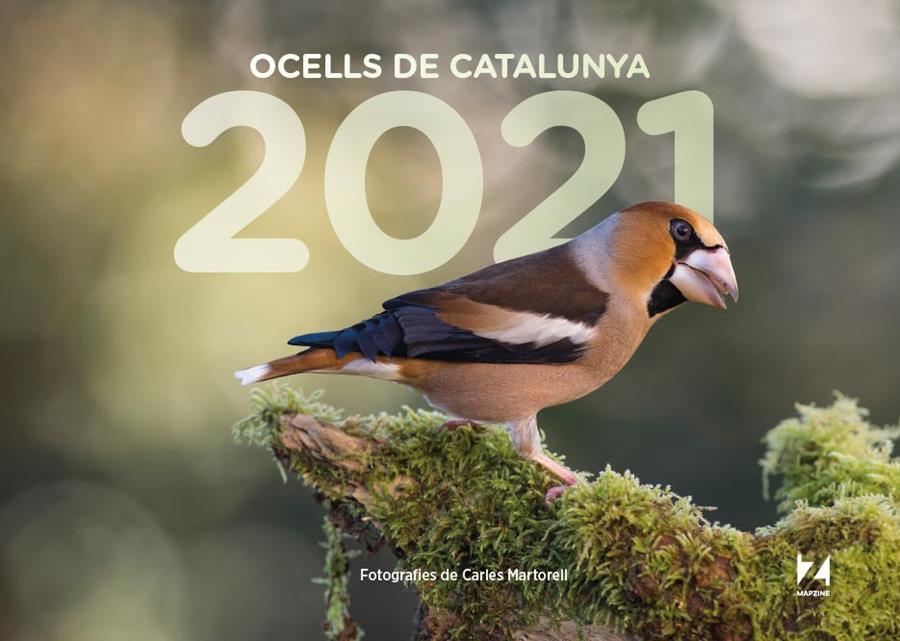 2021 Ocell de Catalunya Calendari | MArtorell, Carles | Cooperativa autogestionària