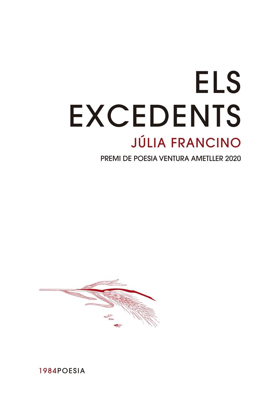 Els excedents | Francino Rodríguez, Júlia | Cooperativa autogestionària