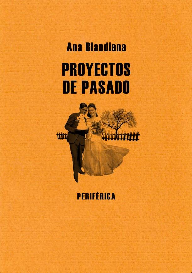 Proyectos de pasado | Blandiana, Ana