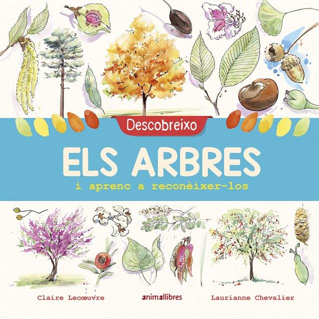 Descobreixo els arbres i aprenc a reconèixer-los | Lecoeuvre, Claire