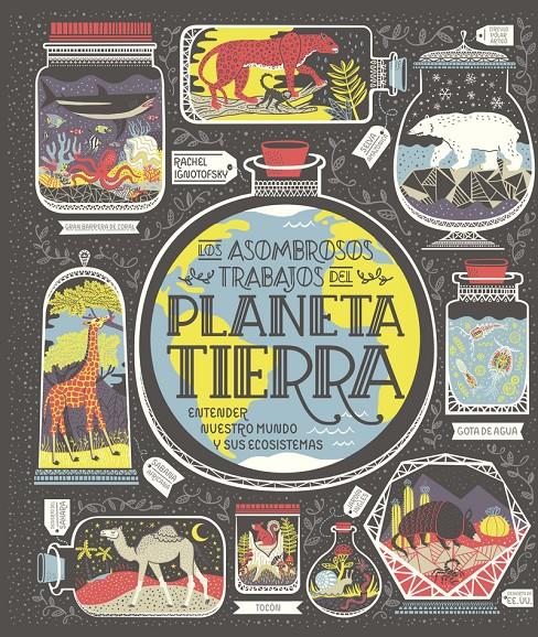Planeta Tierra | Ignotofsky, Rachel
