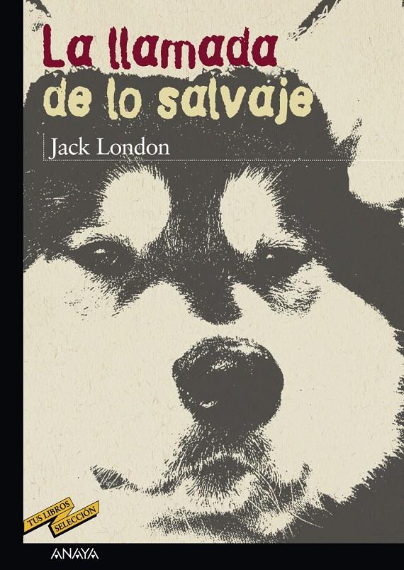 La llamada de lo salvaje | London, Jack