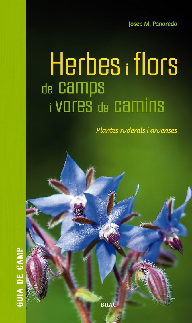 Herbes i flors de camps i vores de camins | Panareda Clopés, Josep M | Cooperativa autogestionària