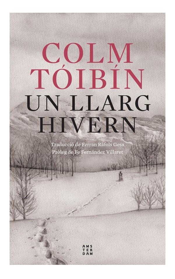 Un llarg hivern | Tóibín, Colm | Cooperativa autogestionària