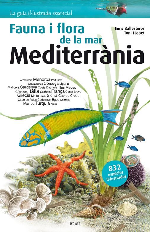 Fauna i flora de la mar Mediterrània | Ballesteros Sagarra, Enric | Cooperativa autogestionària