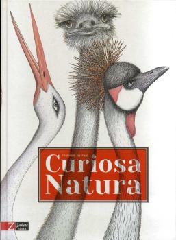 Curiosa natura | Guiraud, Florence