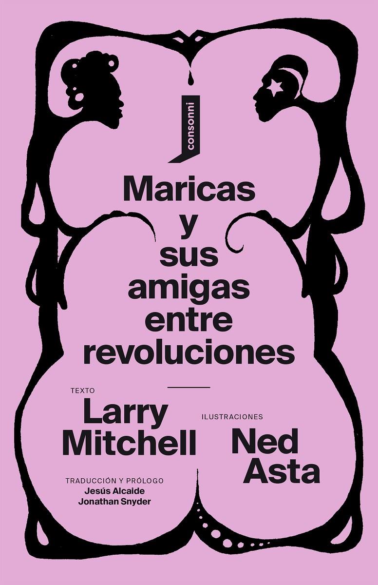 Maricas y sus amigas entre revoluciones | Mitchell, Larry | Cooperativa autogestionària