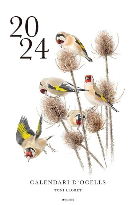 2024 Calendari d'ocells | Llobet, Toni | Cooperativa autogestionària