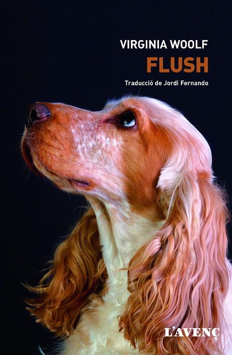 Flush | Cooperativa autogestionària