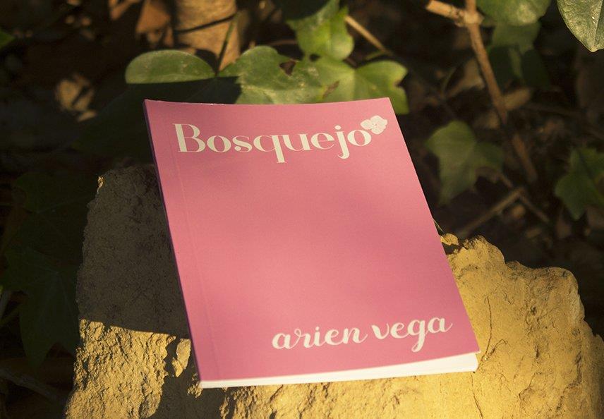 Bosquejo | Arien Vega