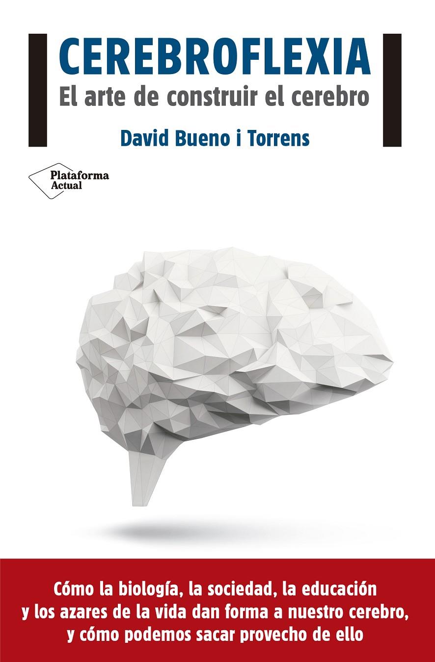 Cerebroflexia | Bueno i Torrens, David