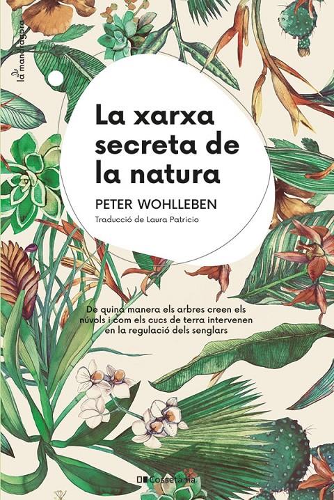 La xarxa secreta de la natura | Wohlleben, Peter | Cooperativa autogestionària