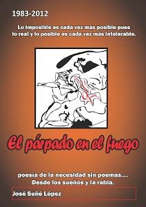 El párpado en el fuego | Suñé, José