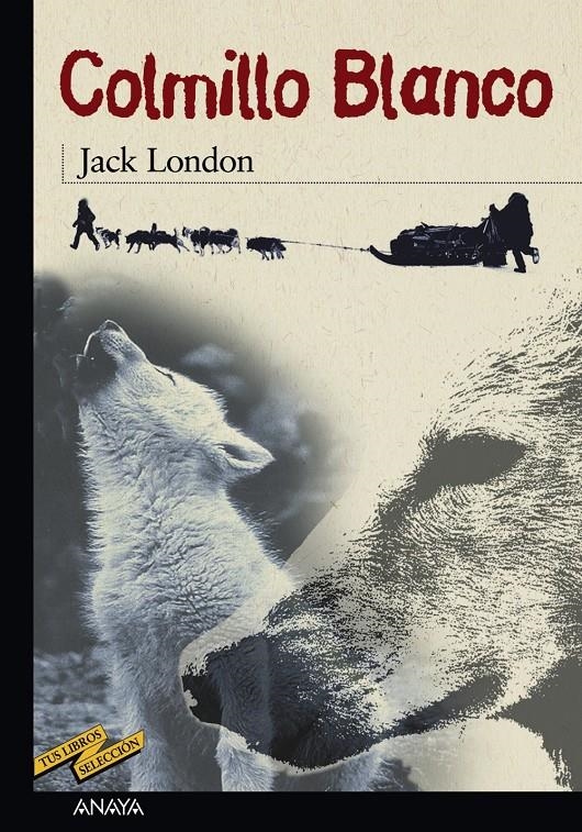 Colmillo Blanco | London, Jack