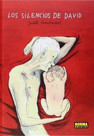 Los silencios de David | Vanistendael