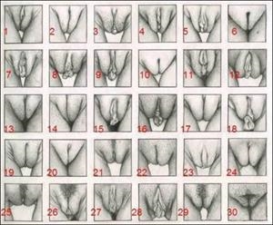 De dones, amor i sexe: educació i assesorament sexològic | Maria J. Cabral | Cooperativa autogestionària