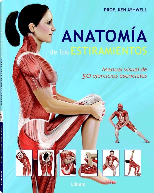 Anatomía de los estiramientos | Ken Ashwell