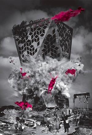 Elefante | Cooperativa autogestionària