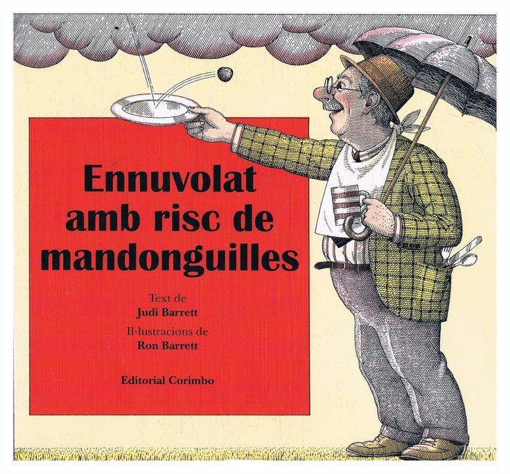 Ennuvolat amb posibilitats de mandonguilles | Barret | Cooperativa autogestionària