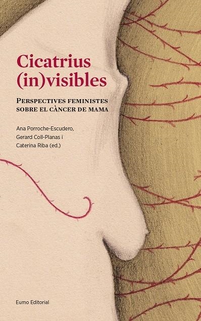 Cicatrius (in)visibles | Porroche Escudero, Ana/Coll Planas, Gerard/Riba Sanmartí, Caterina