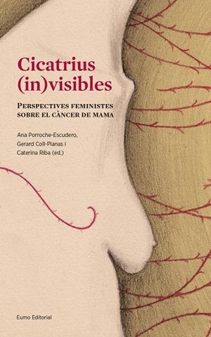 Cicatrius (in)visibles | Porroche Escudero, Ana/Coll Planas, Gerard/Riba Sanmartí, Caterina