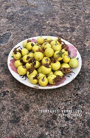 Formigues vermelles | Miguel Serra