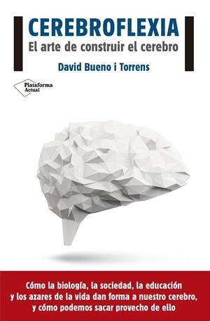 Cerebroflexia | Bueno i Torrens, David | Cooperativa autogestionària
