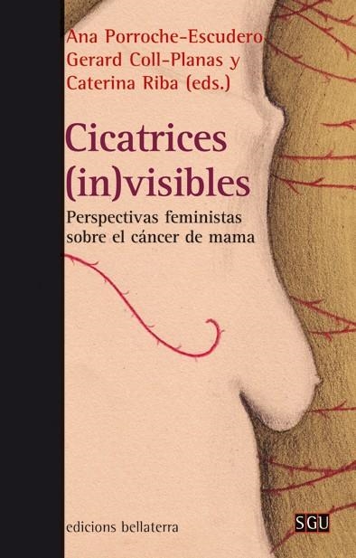 Cicatrices (in)visibles | DDAA | Cooperativa autogestionària