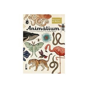 Animàlium | Scot, Katie